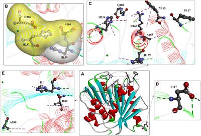 Current advances in the structural biology and molecular engineering of PETase